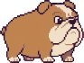 A pixel host dog